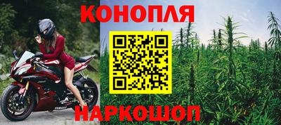 метадон Гусев