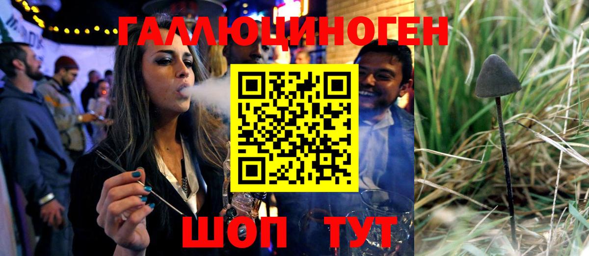 Галлюциногенные грибы GOLDEN TEACHER Мурино