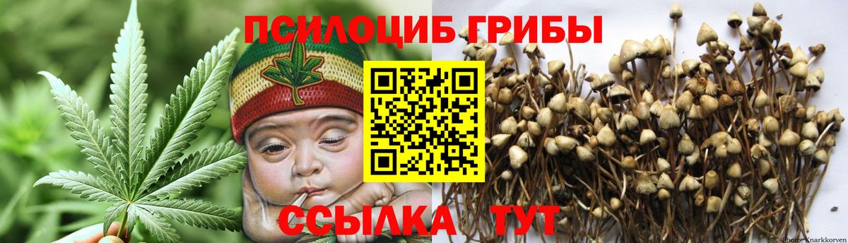 Галлюциногенные грибы мухоморы  Вход с VPN  Мурино 